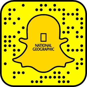 national geographic snapchat logo