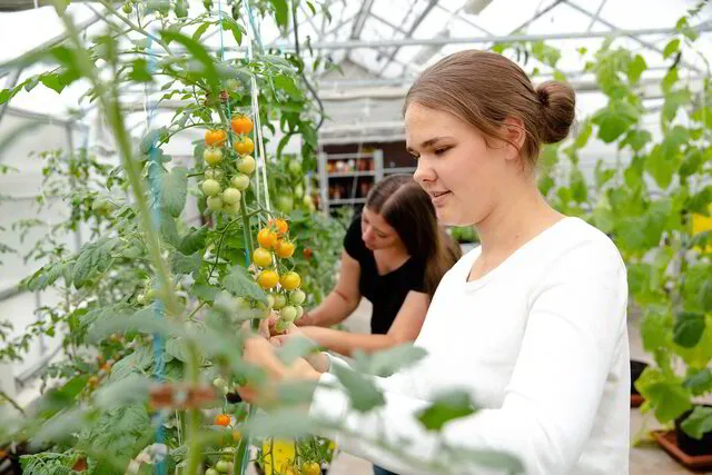 Study Sustainable Agriculture in Latvia