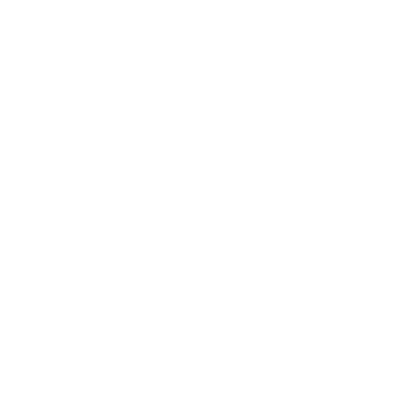 Priceless Moments Logo