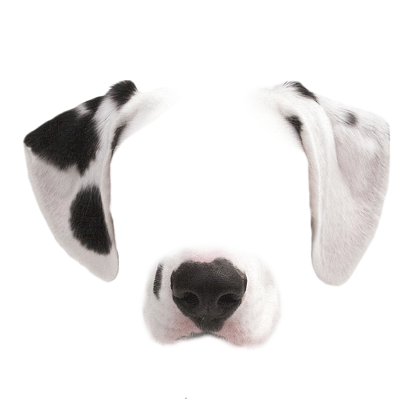 Mask of a pug dog