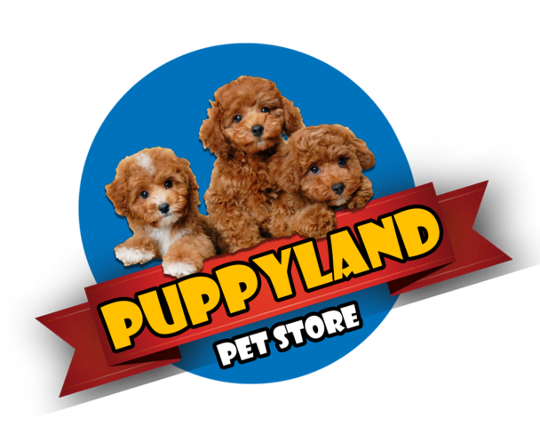 puppyland pet store