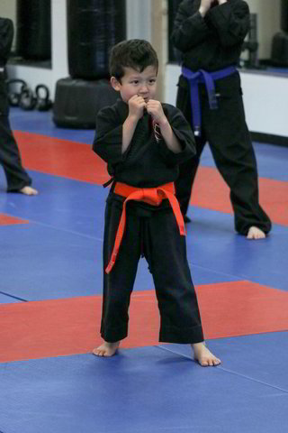 Martial Arts For Kids Master Lee S U S Taekwondo