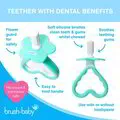 BrushBaby - pirmasis dantų ir dantenų šepetėlis kūdikiams nuo 18 mėnesių