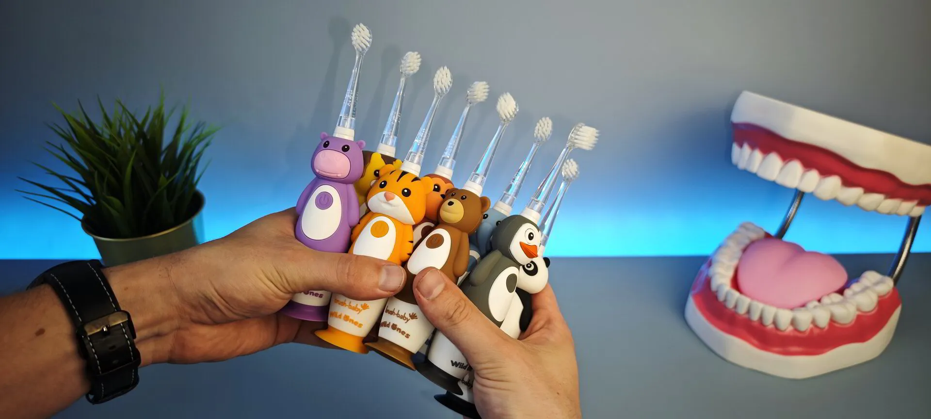 Brush Baby WildOnes elektrinių dantų šepetėlių apžvalga