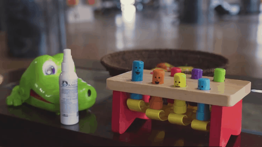 <img src=“Danolytesanitier.jpg” alt= Danolyte customer spraying 