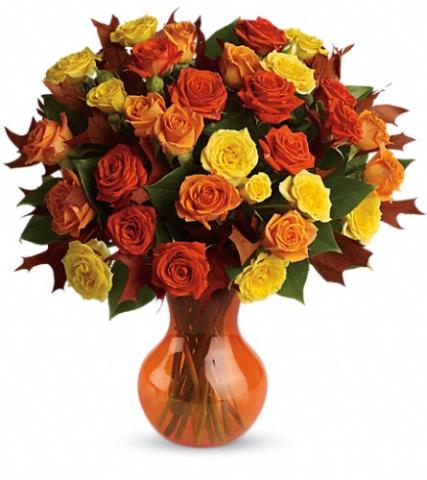 Teleflora's Fabulous Fall Roses